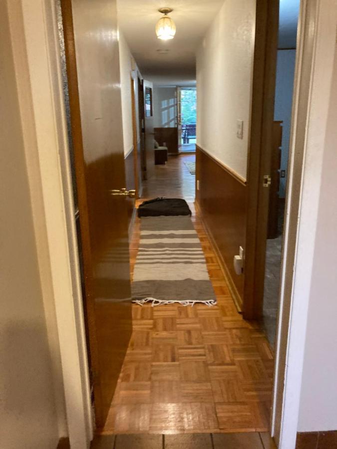 Cozy Apartment With A Spacious Backyard In The Ravine Торонто Екстериор снимка